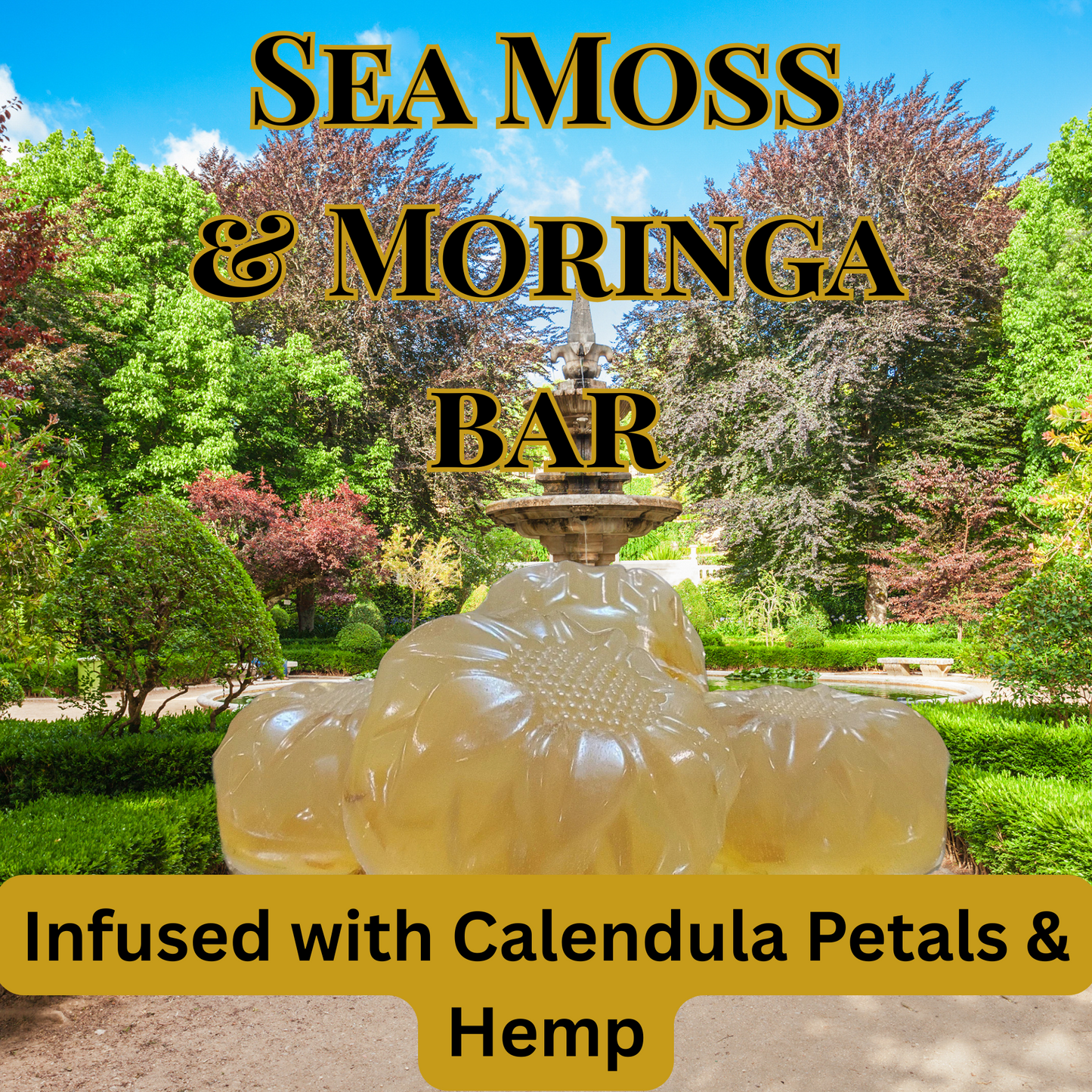 Sea Moss Moringa infused with Calendula & Hemp